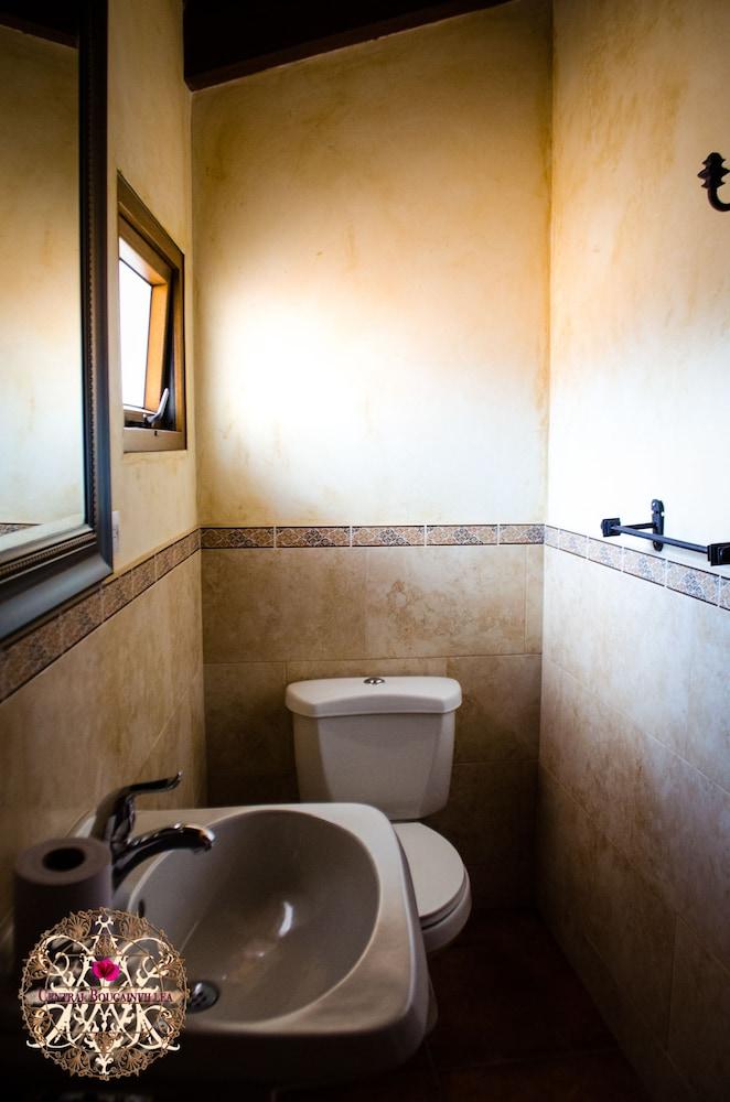 Central Bougainvillea