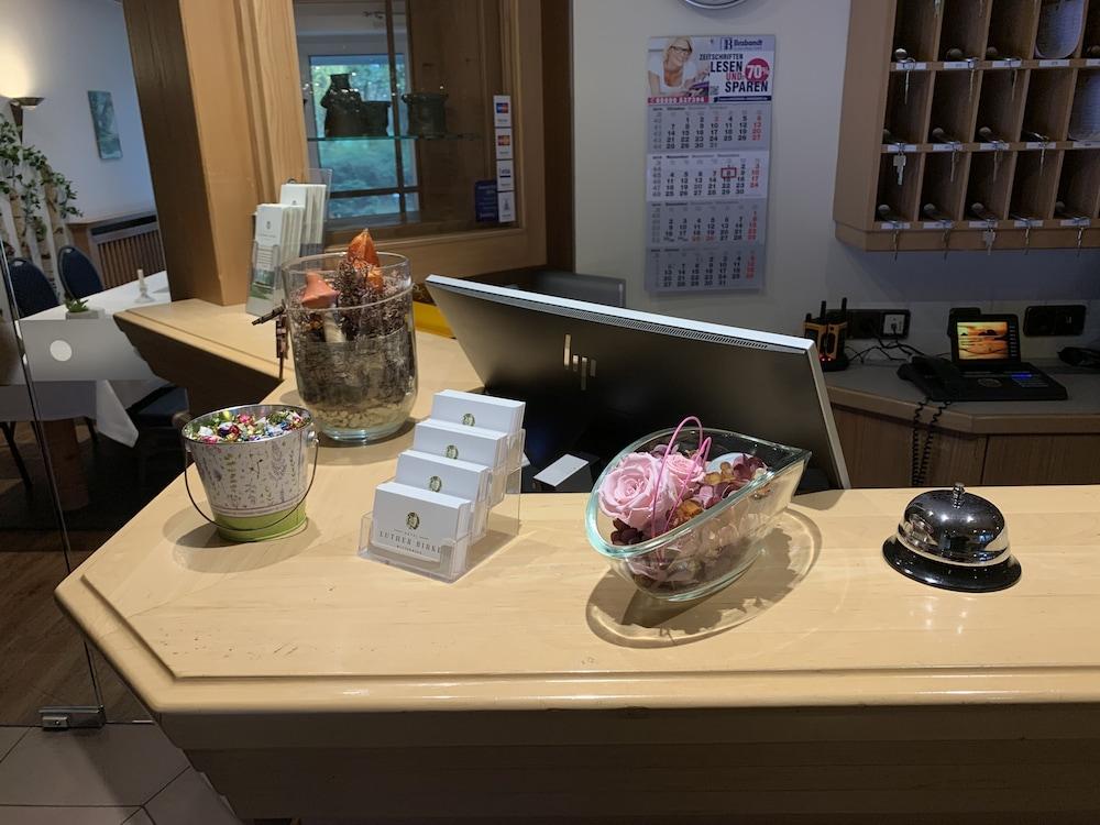 Hotel Luther Birke Wittenberg