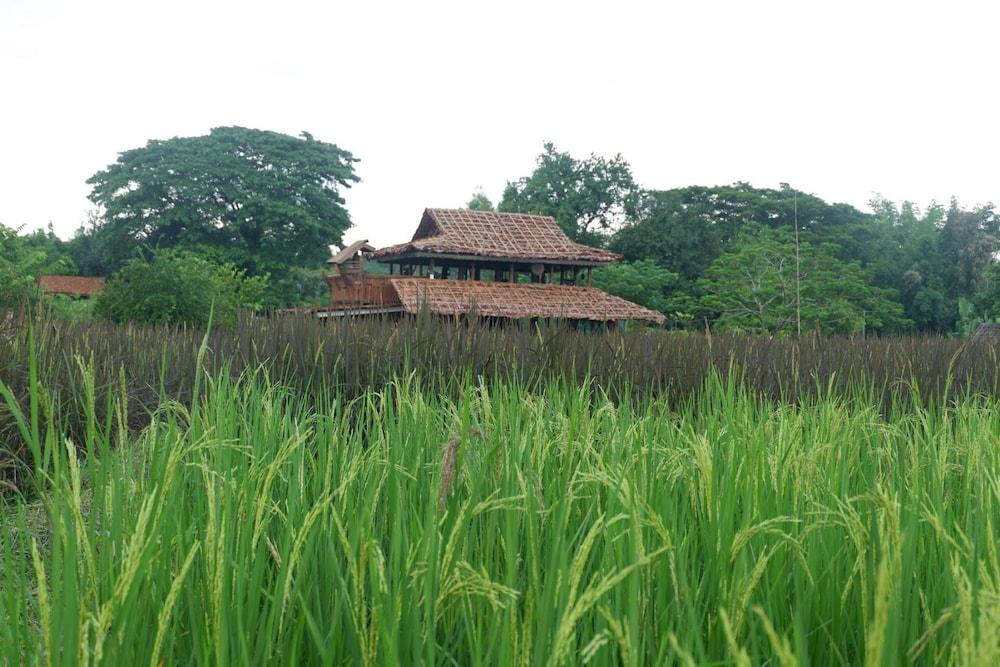 Nanee Maerim Lake View