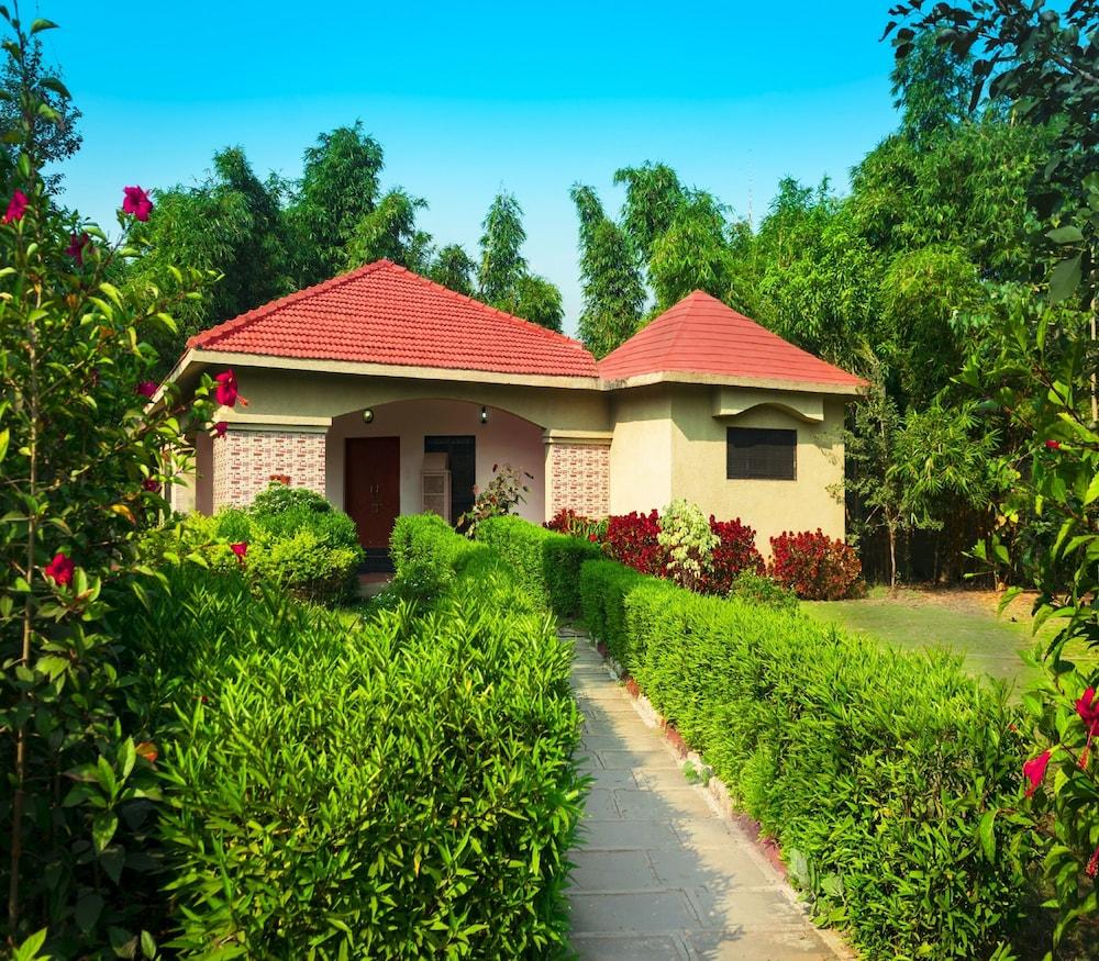 Olive Resorts & Villas