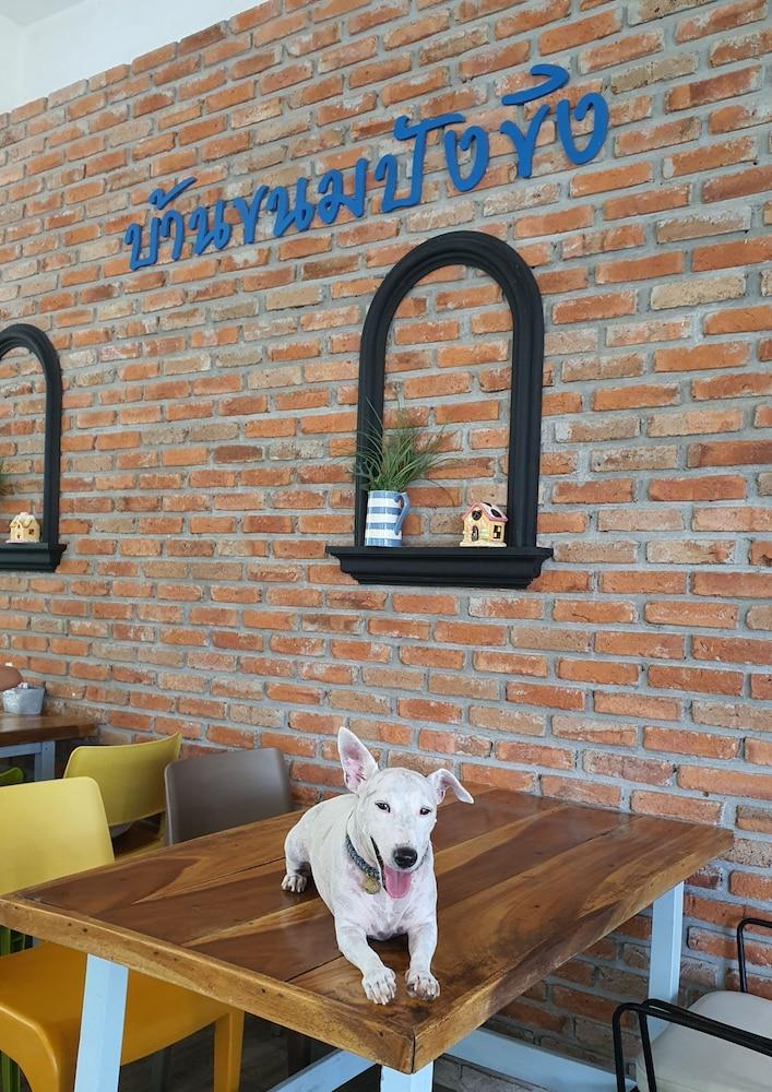 Ginger Bread House - Pet Lover Resort