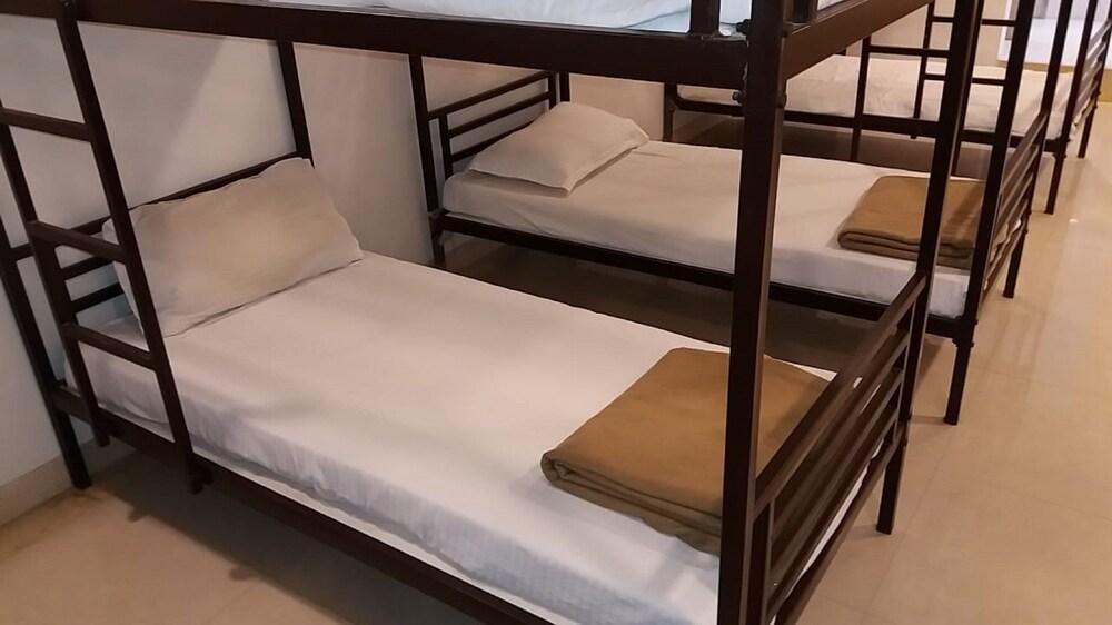 Backpacker The  Orion