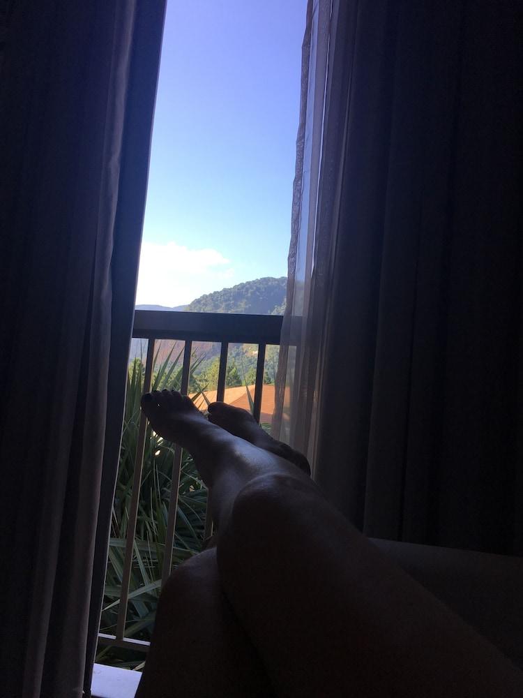 Reserva do Sahy, Condado