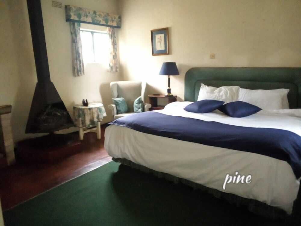 Pine Tree Inn