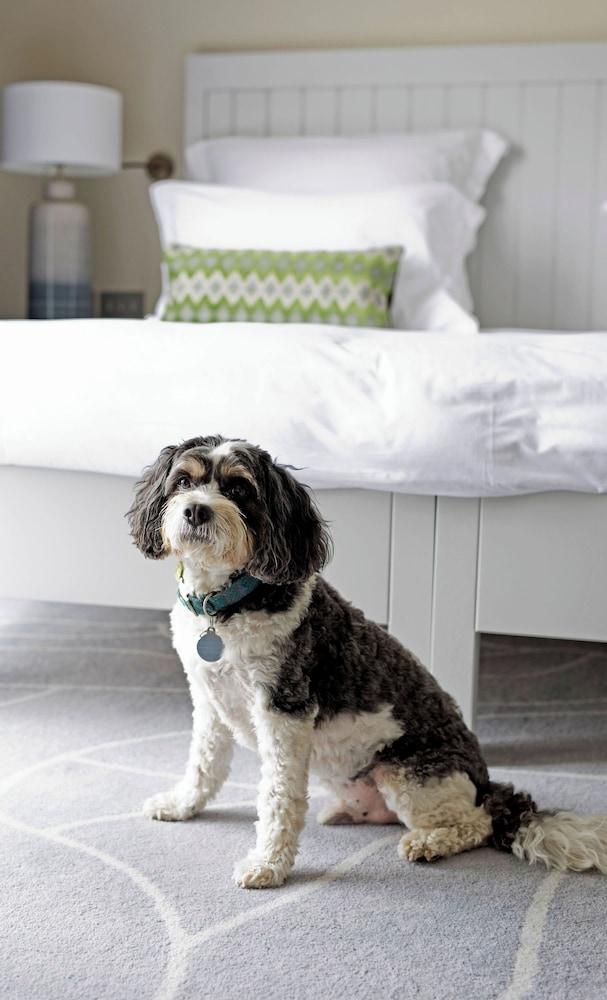 Another Place, The Machrie