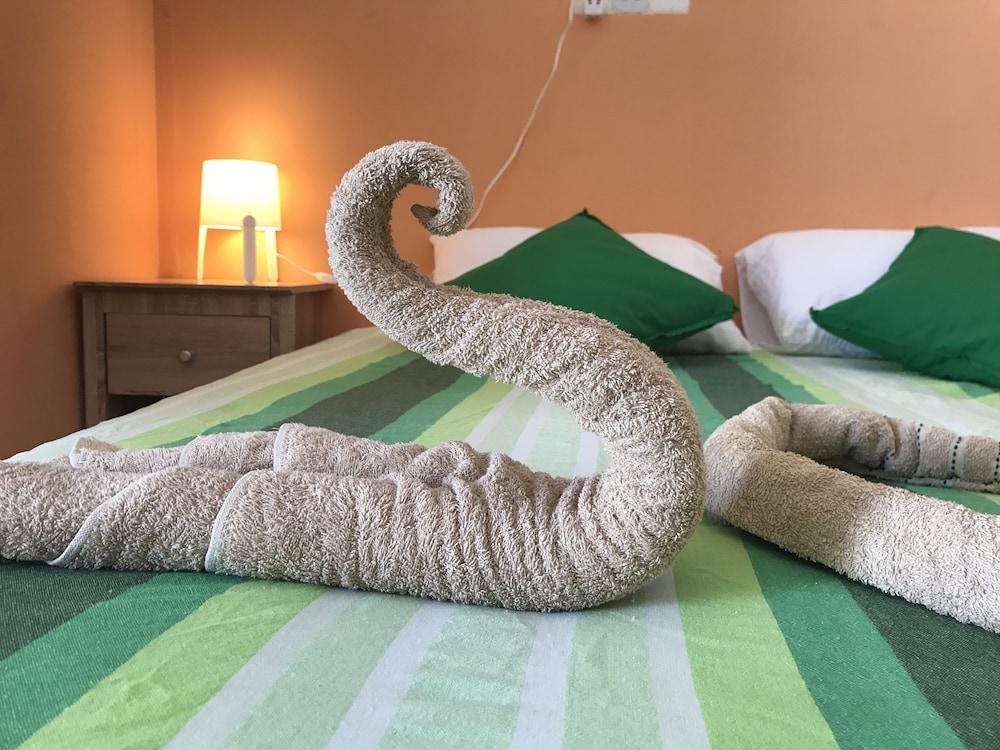 Ocean Vibes Guesthouse