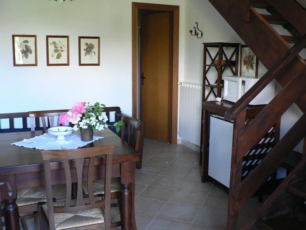 La Gabbianella e il Gatto