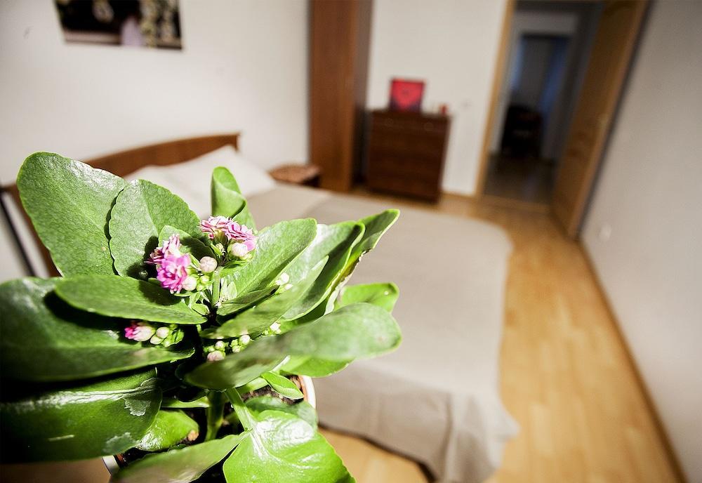 Funny Dolphins Apartments Spasskaya