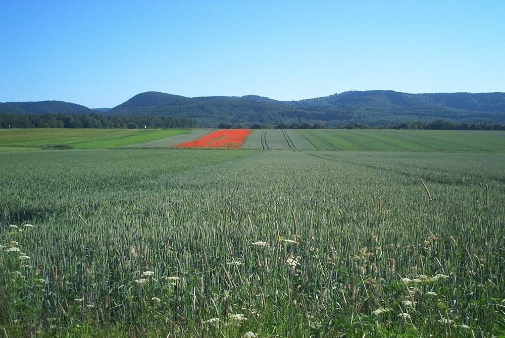 Ferienwohnung Stricker Bad Sachsa