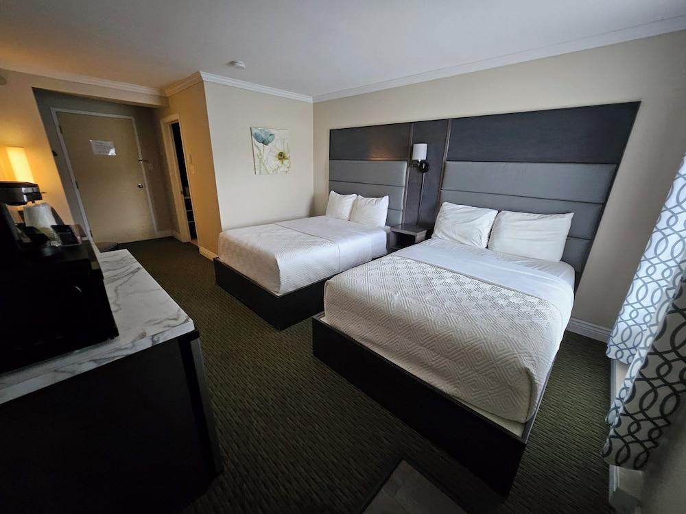 Newfound Inn & Suites