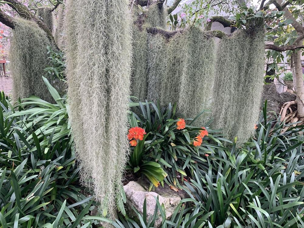 Birds Babble Self Catering Guest House