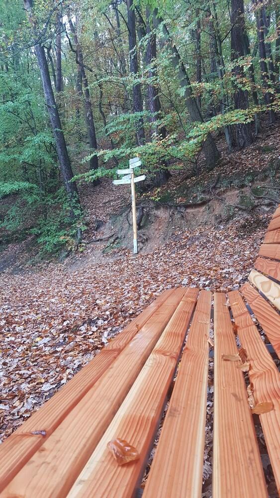 Rhein Pearl am Rheinsteig