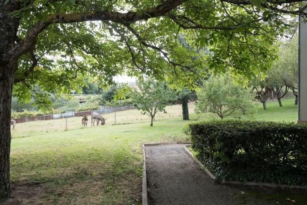 Hôtel-Restaurant l'Artière