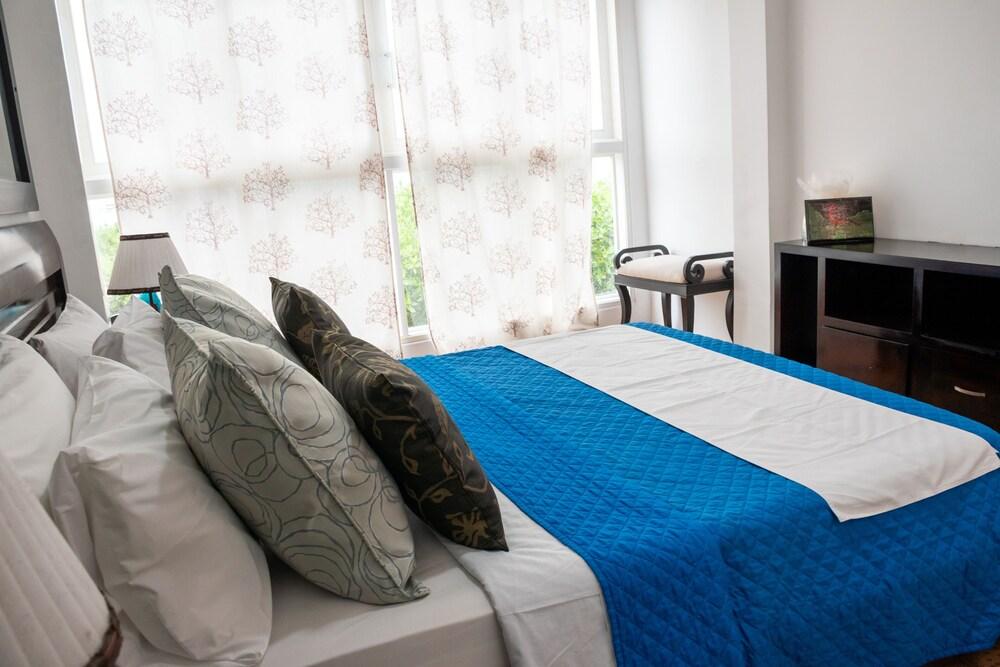 Hostal Flightless Cormorant