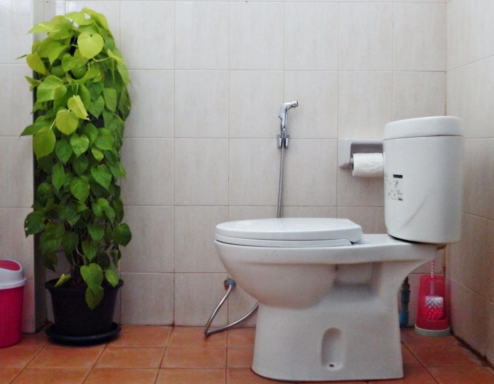 White Rabbit - Hostel