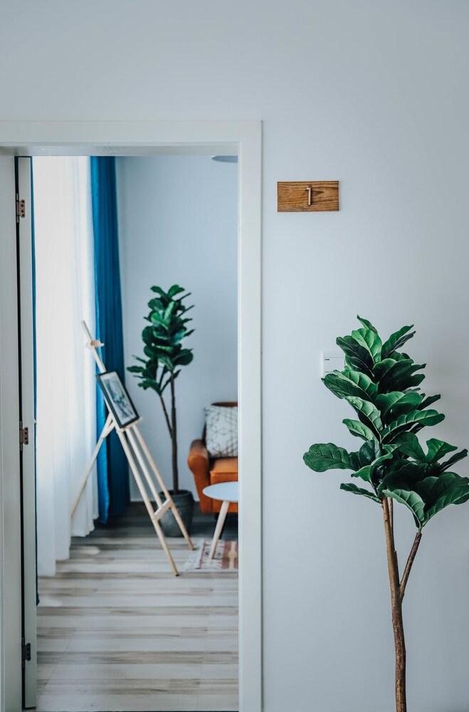 Dali Dream Plus Homestay