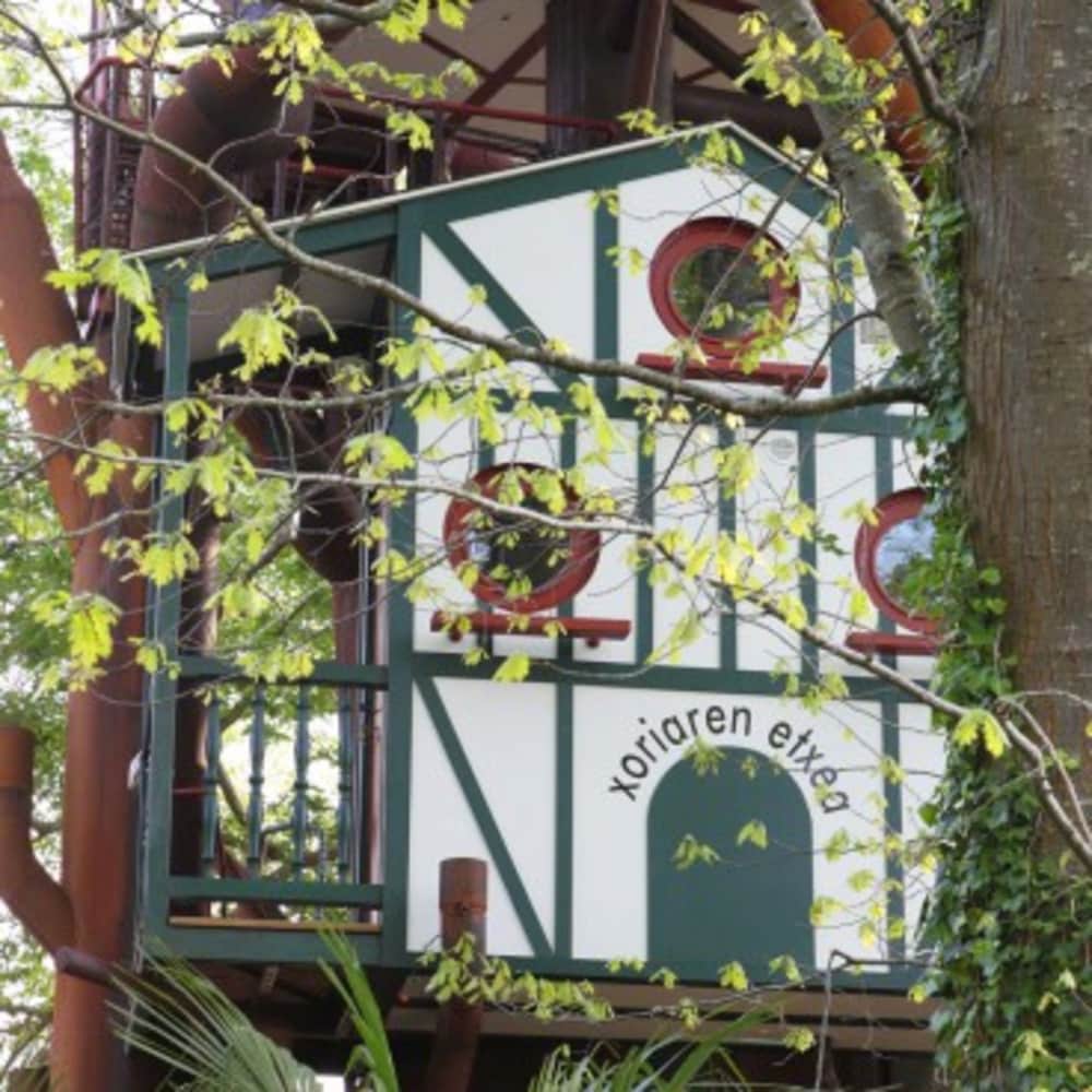 Nids d'hôtes insolites