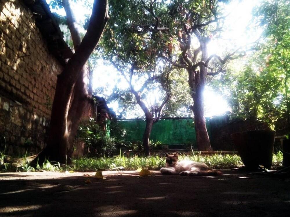 La Posada de Don Tito