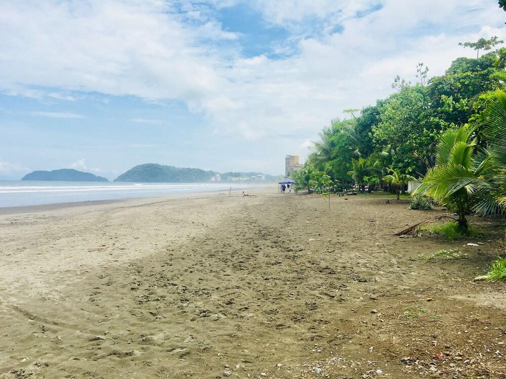 The Seaside Cabins & Studios