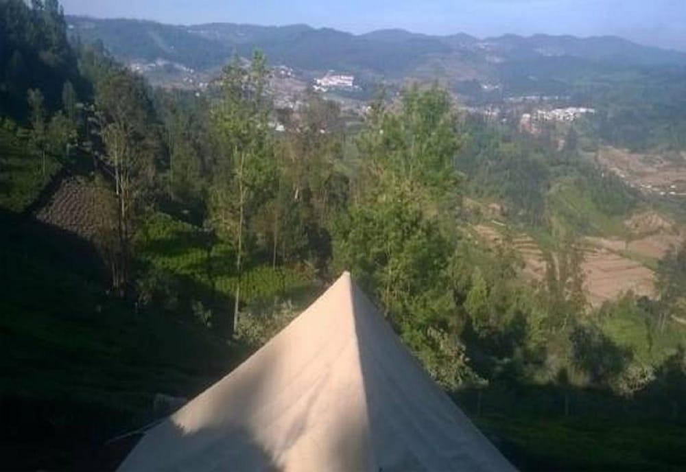 Janardan Tea Resort - Campsite