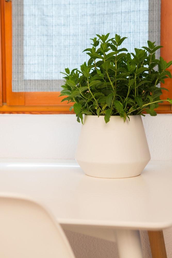 Saint John Villa Apartments