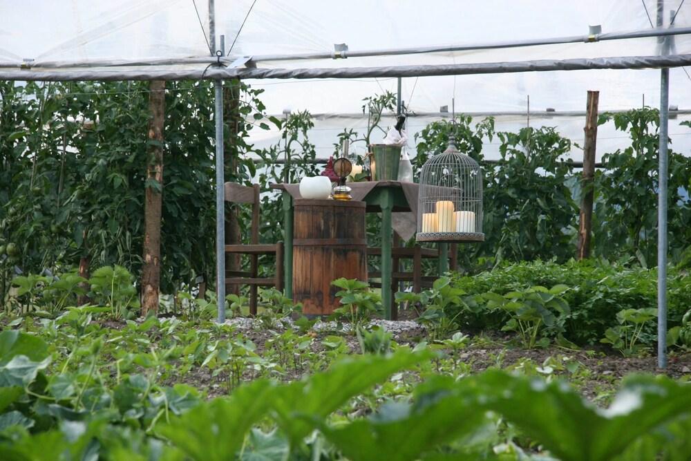 Agriturismo Casa Al Campo