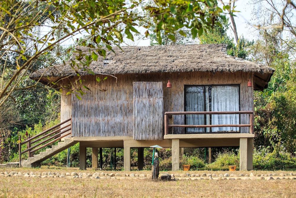 Temple Tiger Green Jungle Resort