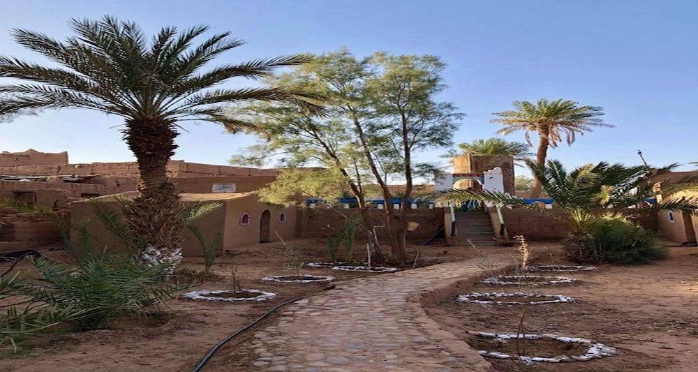 Locals Under Stars Trips