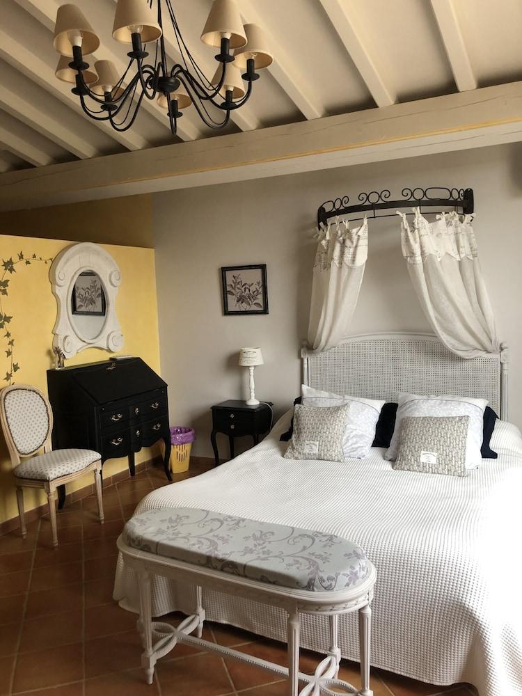 Entre vignes et dentelles