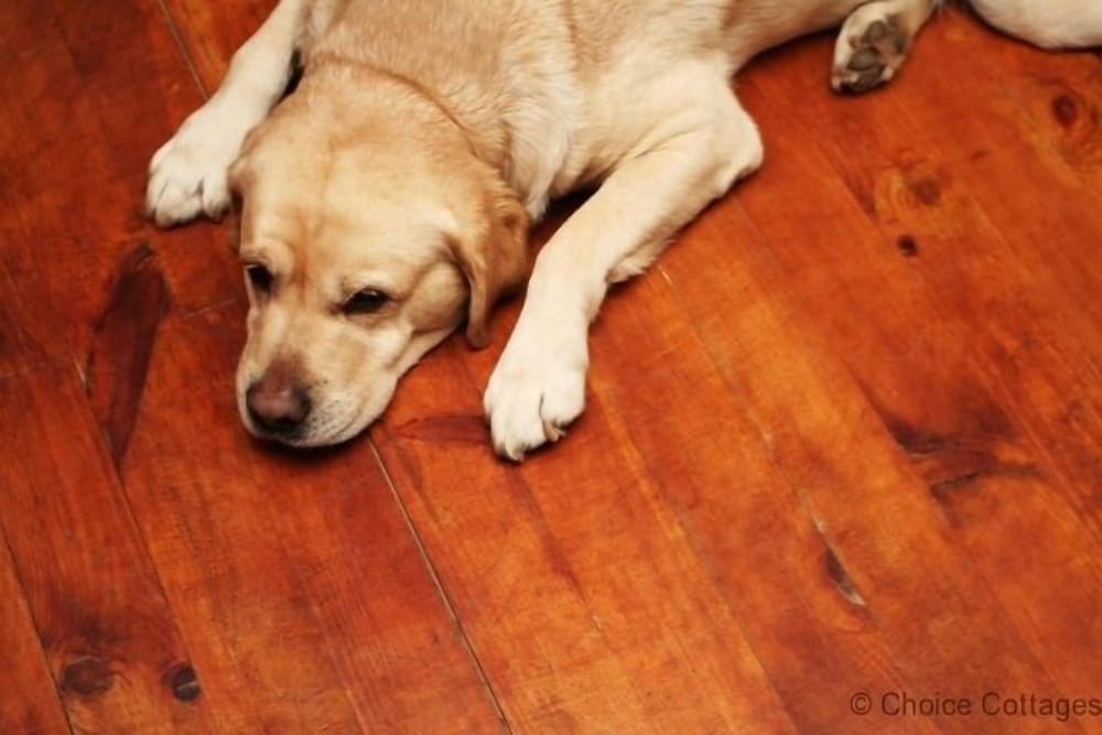 Buckland Brewer COB Barn 2 Bedrooms