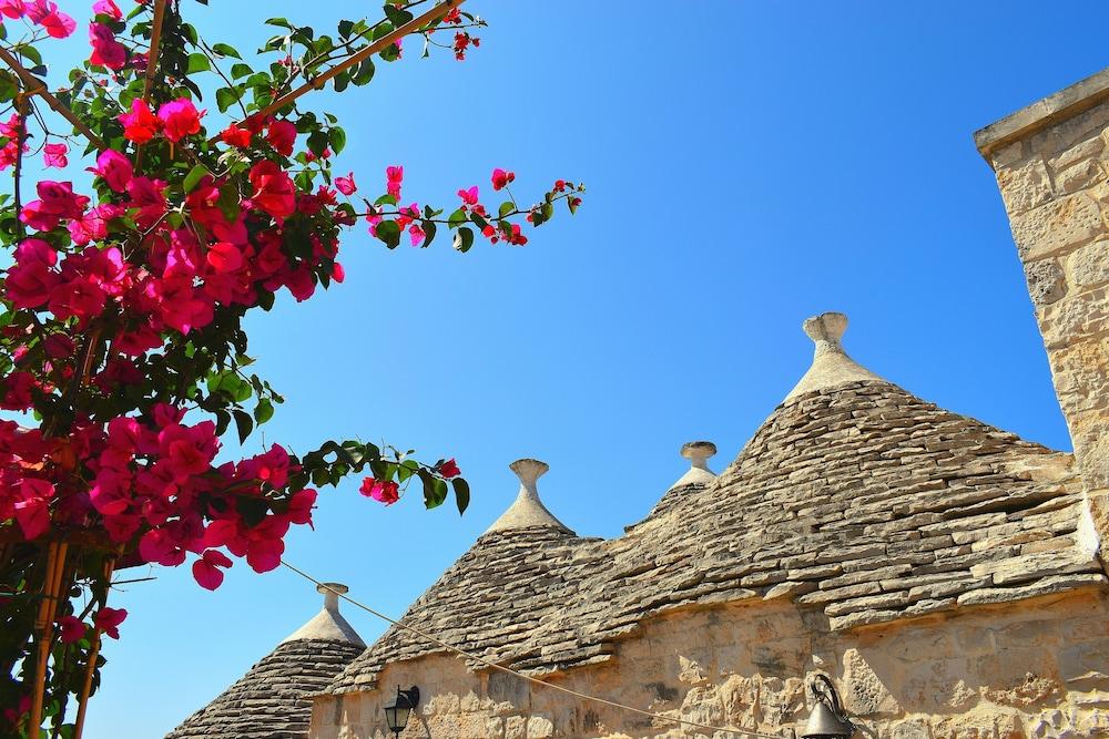 La Rosa dei Trulli B&B