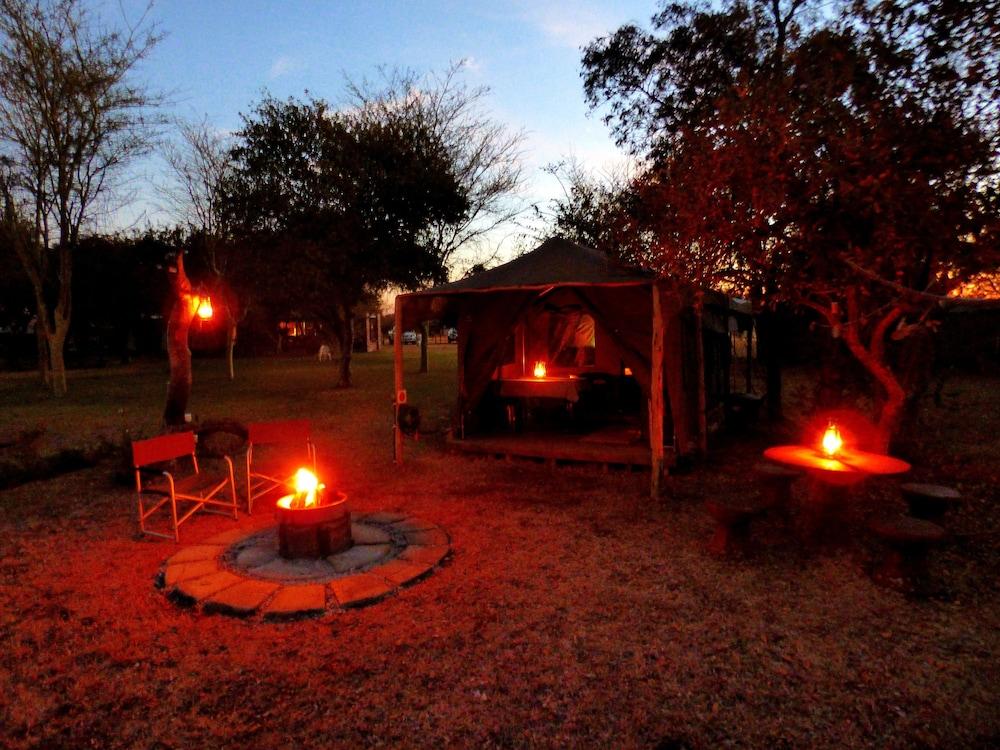 Thorn Tree Bush Camp