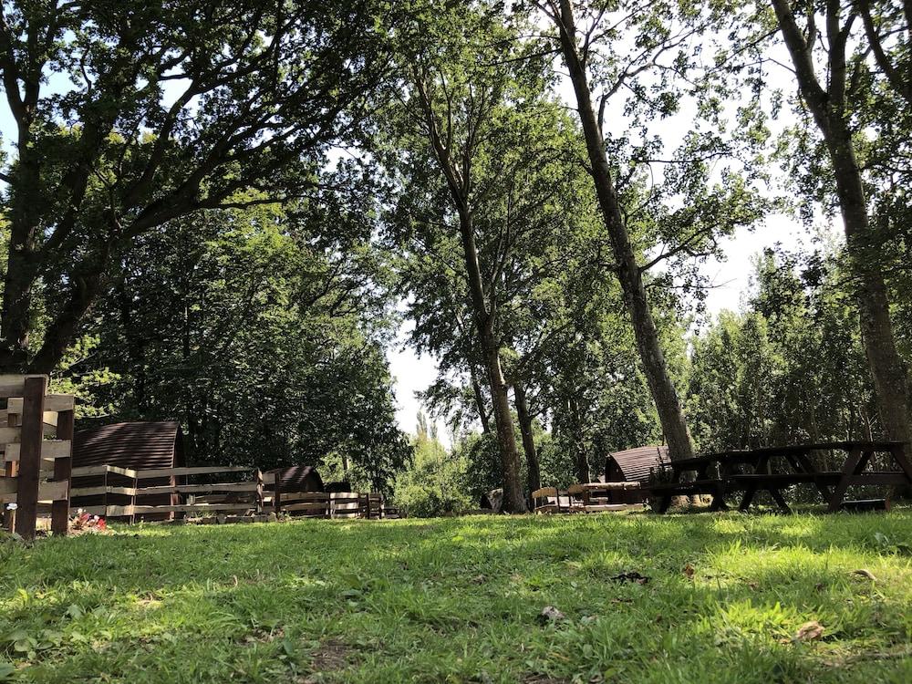 Edinburgh Cabin Camping