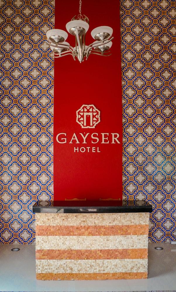 Hotel Gayser
