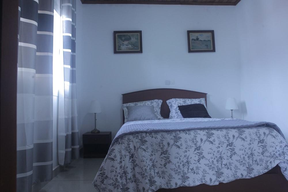 Les Flamants Rose - Gulfview