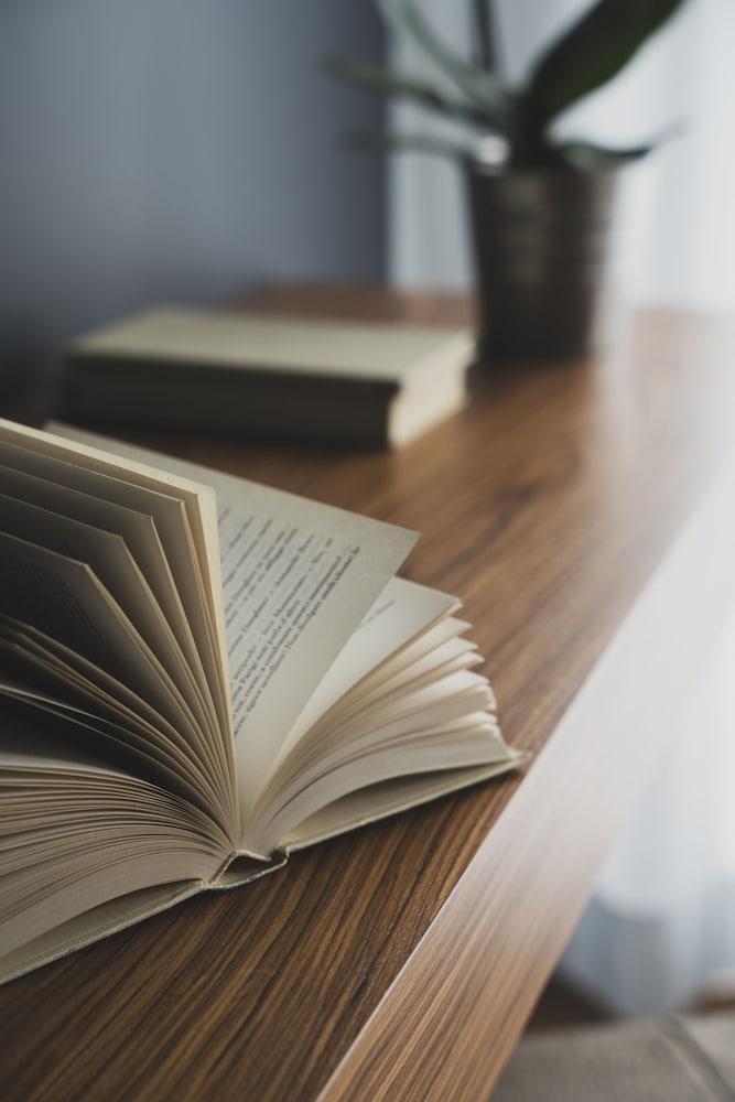 The Regent Boutique Hotel & SPA - PRE OPENING