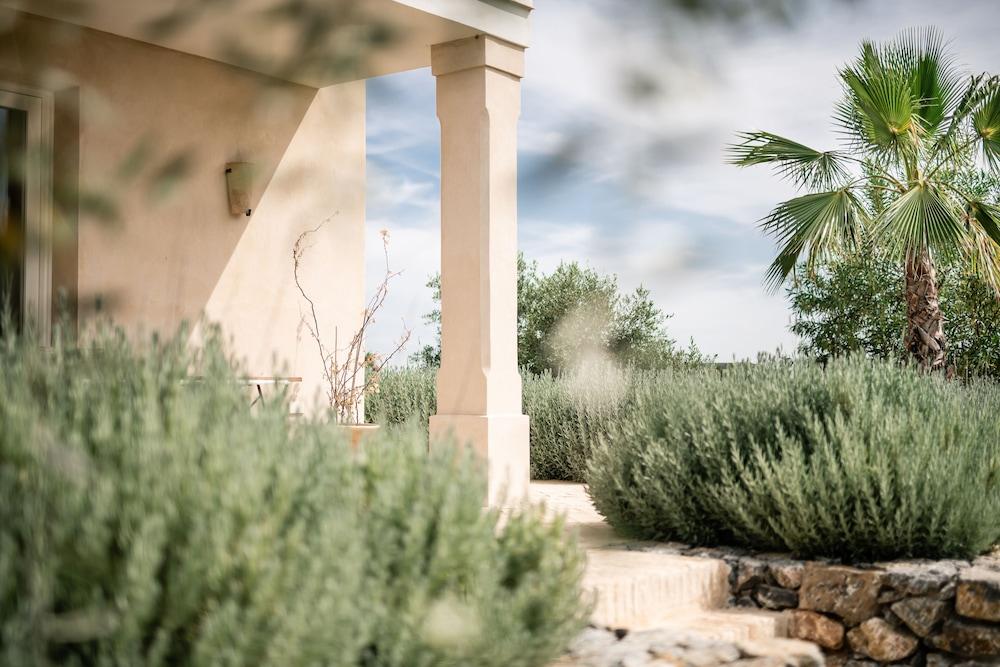 Hacienda de San Rafael by ALUZ Collection