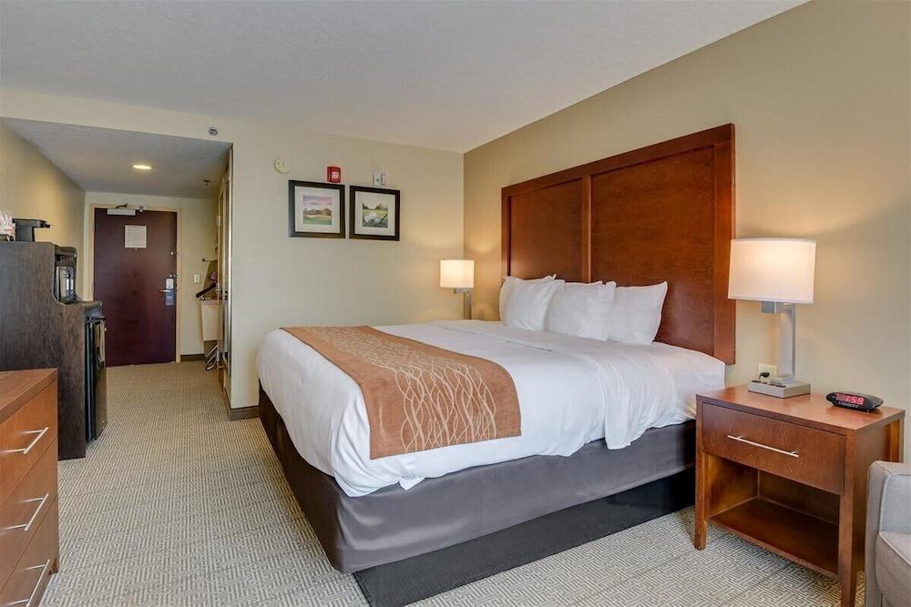 Comfort Inn & Suites Augusta Fort Gordon Area