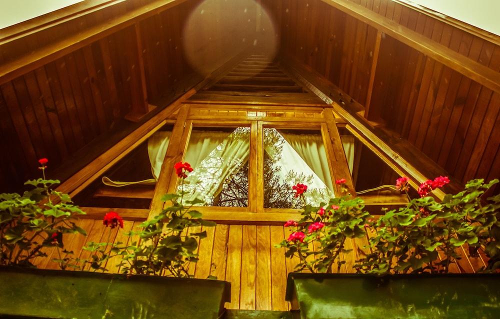 Zirahuen Forest And Resort