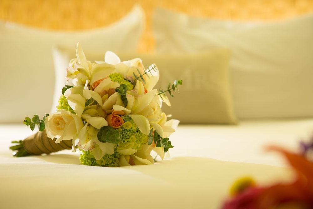 Movich Hotel Cartagena de Indias