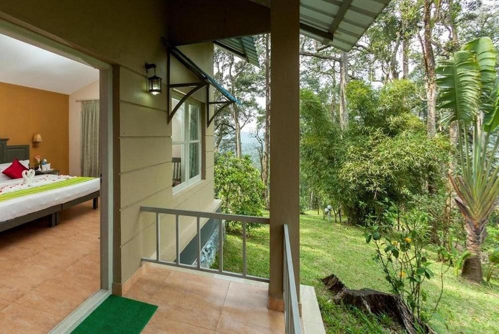 The New Whispering Meadows