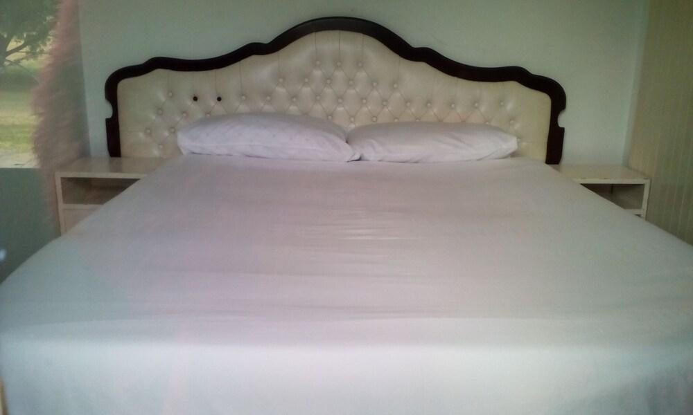 Accoustix Backpackers Lodge