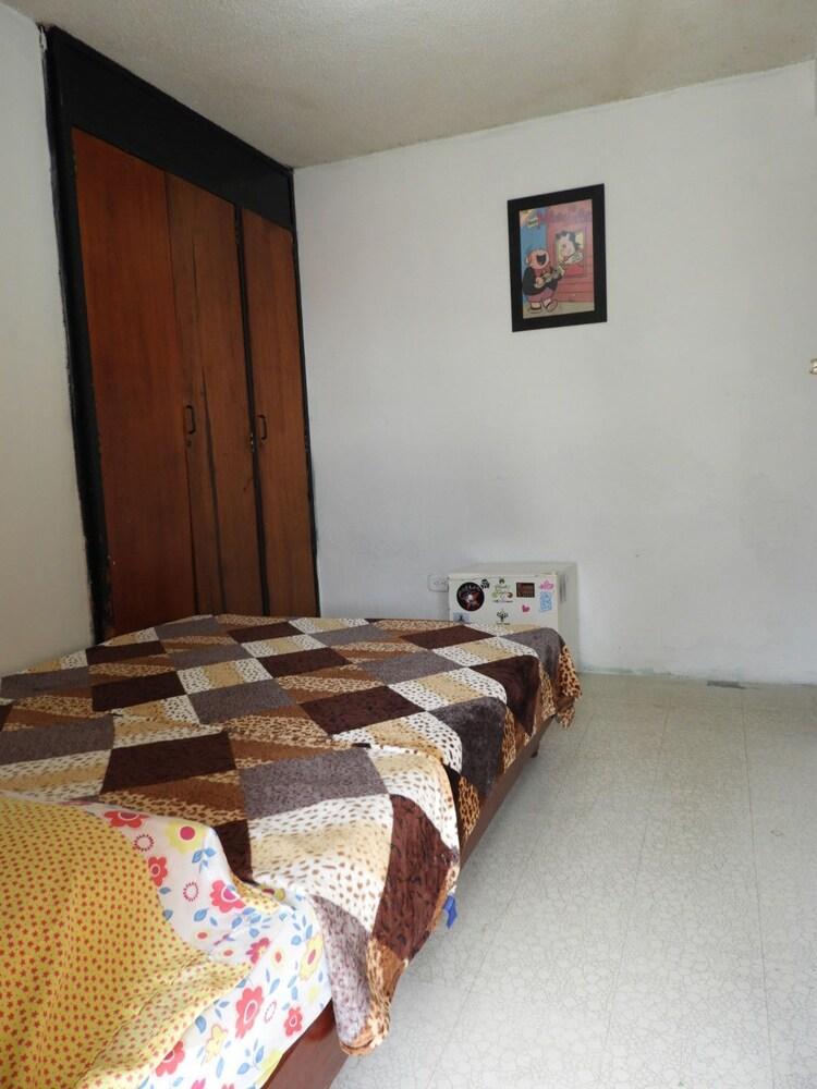 Seeds & Roots Raíces y Semillas