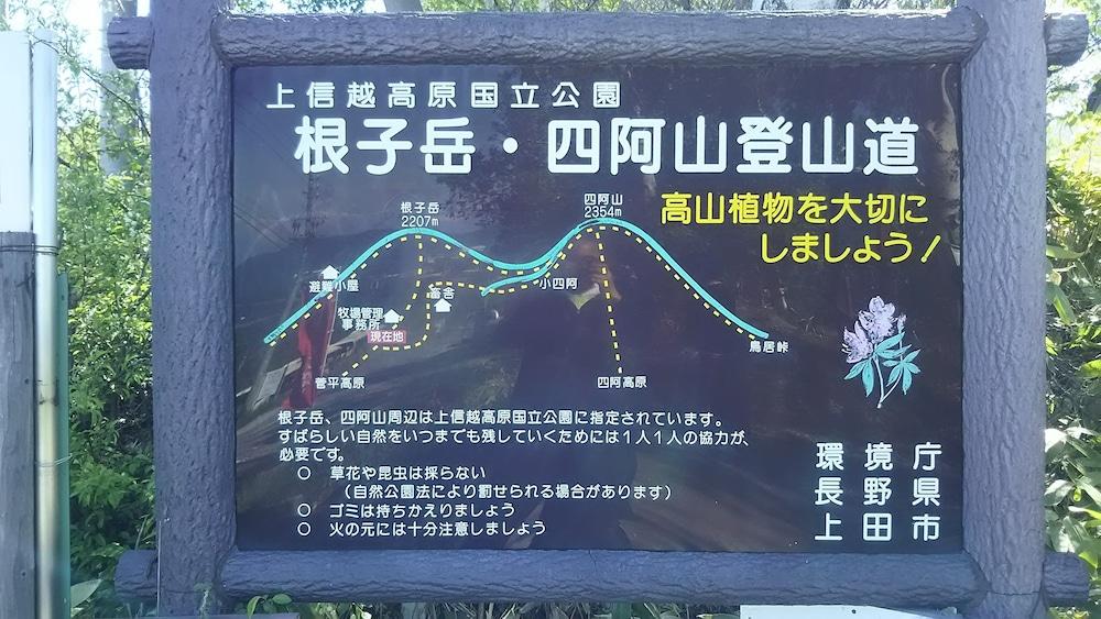 Sugadaira Lodge Alice