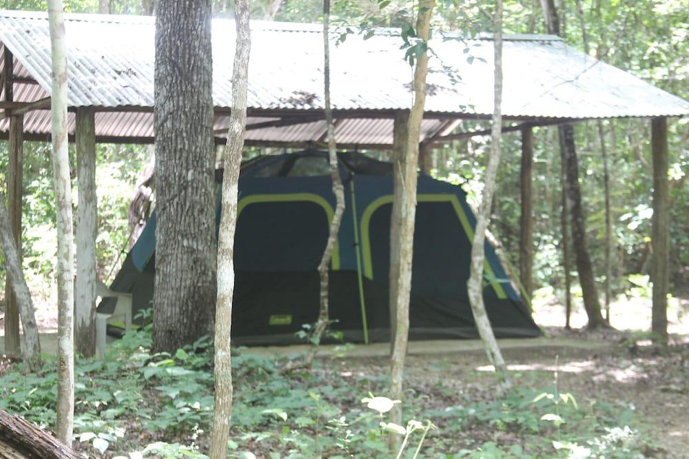 Campamento Yaaxche en Calakmul