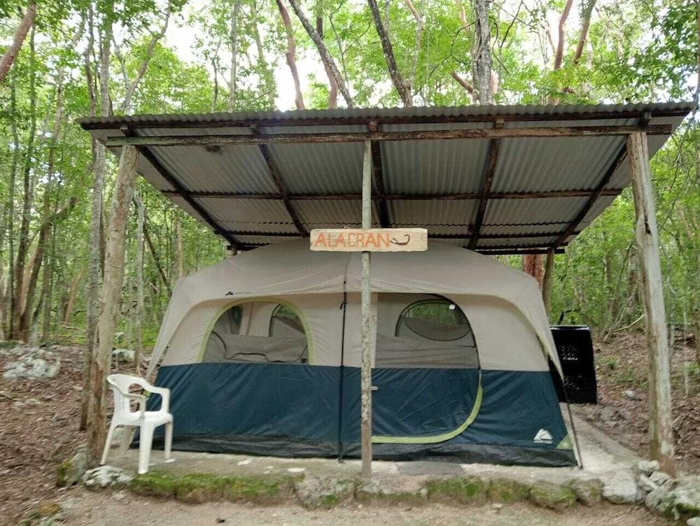 Campamento Yaaxche en Calakmul