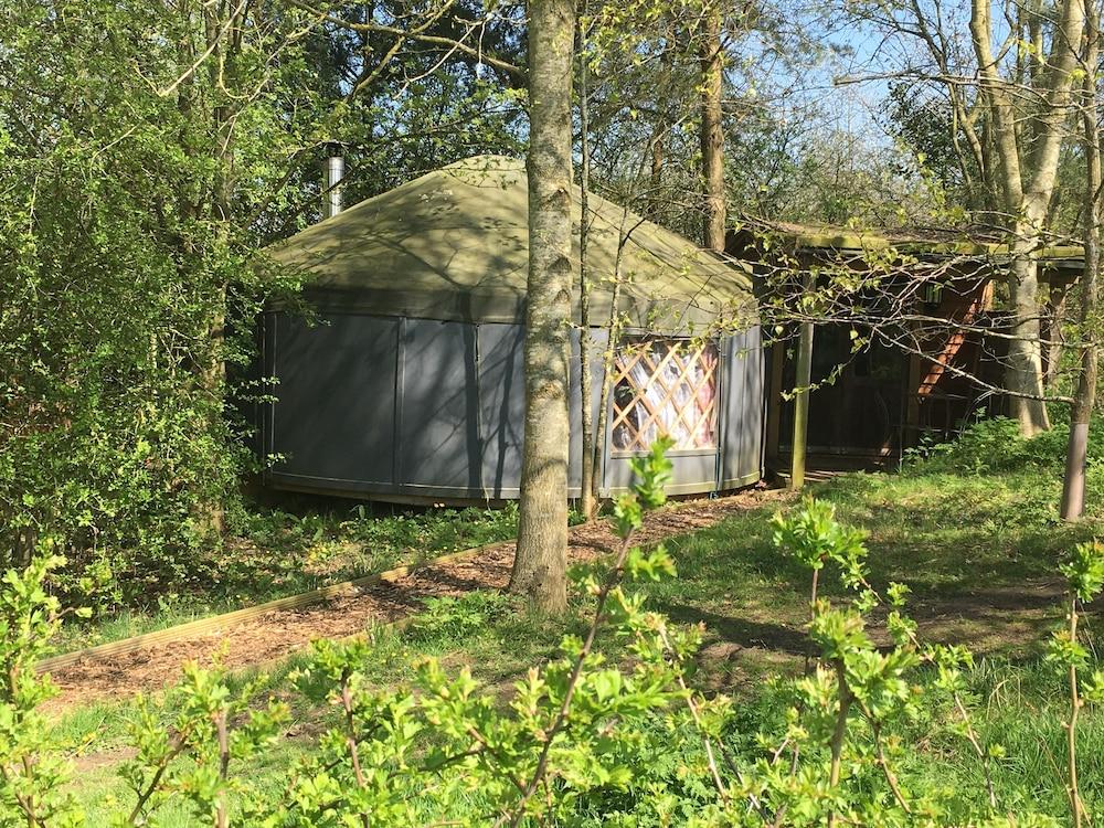 Cotswolds Camping at Holycombe