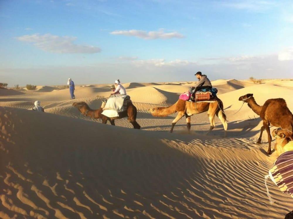 Hébergement Proche de Désert à Douz