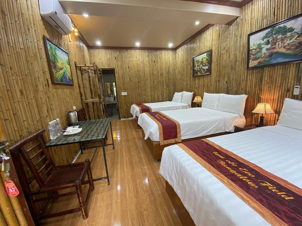 Tam Coc Eco Field Homes