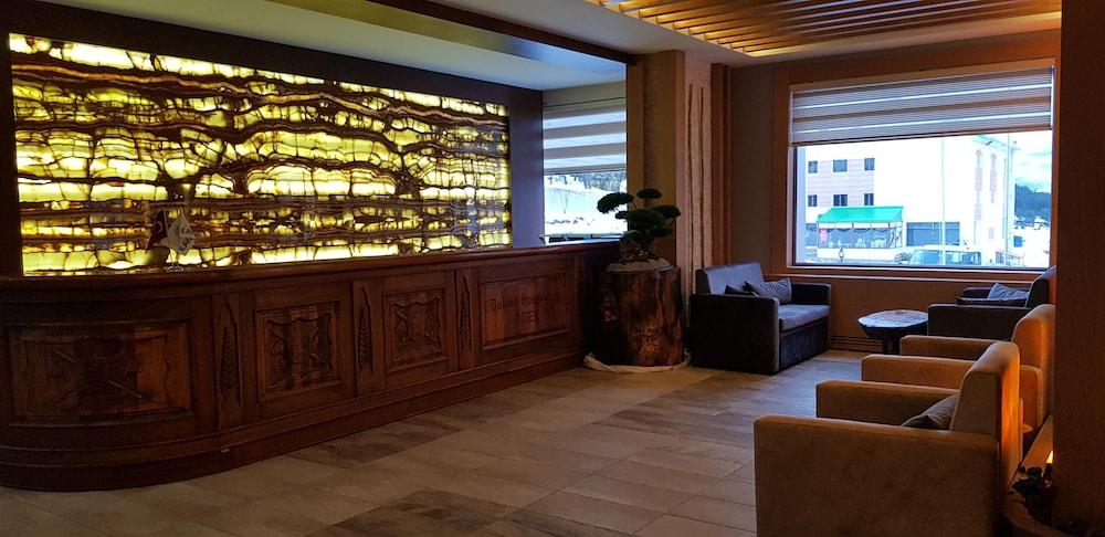 Sarikamis Kayi Snow Otel